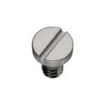 Bridge screw