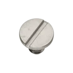 Bridge screw