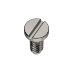 Bridge screw