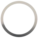 Bezel spring